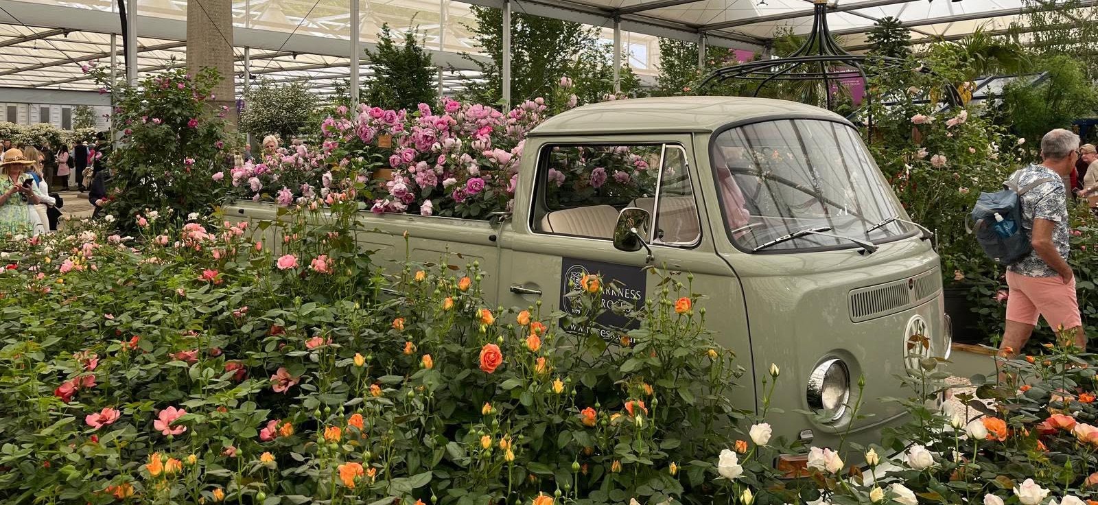 campervan surrounded by flowers